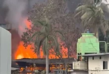 Navi Mumbai Fire: Massive Blaze Erupts at Chemical Unit in Mahape MIDC, Thick Smoke Engulfs Area