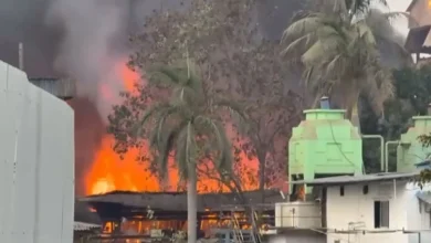 Navi Mumbai Fire: Massive Blaze Erupts at Chemical Unit in Mahape MIDC, Thick Smoke Engulfs Area
