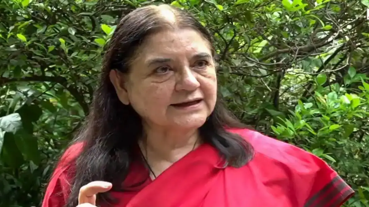 The Supreme Court on Tuesday tore into former Union Minister Maneka Gandhi over her criticism of the court's stray dogs order.