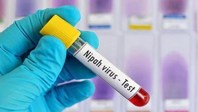 Central Intervention Follows Detection of Two Suspected Nipah Cases in West Bengal
