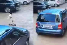 A five-year-old boy was killed after being struck by a car inside a residential society in Loni Kalbhor, Pune, on Monday evening.