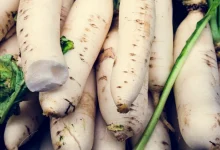 6 Health Benefits Of Crisp Root Vegetable Radish