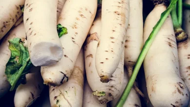 6 Health Benefits Of Crisp Root Vegetable Radish