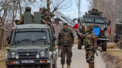 As many as 10 Army personnel died and seven others were injured after their vehicle plunged into a 200-foot-deep gorge in Bhaderwah area in Doda district in Jammu and Kashmir.