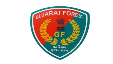 Gujarat Forest Dept's Historic Move: 428 Beat Guards Promoted To Foresters in Record Batch