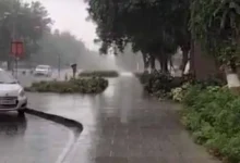Unseasonal Rain Hits Ahmedabad Amid Gujarat Weather Alert; Storm-Like Conditions Forecast In Next 24 Hours