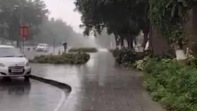 Gujarat Braces for Unseasonal Rain and Intensifying Cold Wave