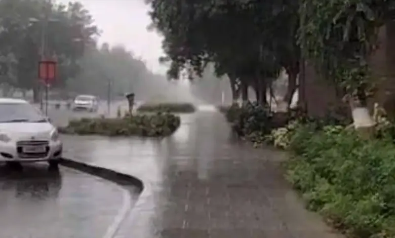 Gujarat Braces for Unseasonal Rain and Intensifying Cold Wave