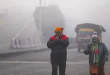 Gujarat Cold Wave: Naliya Hits Season's Lowest at 4.8°C, Rajkot-Amreli Below 10°C
