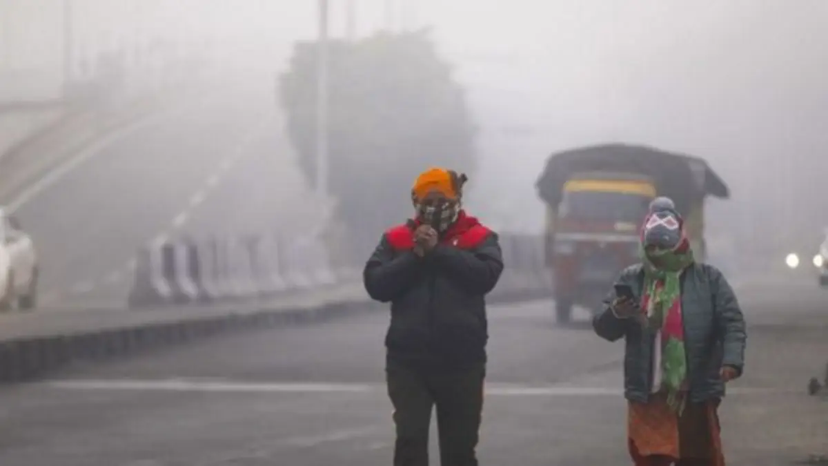 Gujarat Shivers at 7°C as Naliya Records State's Lowest Temperature; Dense Fog Blankets North India