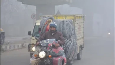 Gurugram and Bathinda Plunge to Season's Lowest: 0.6°C Amid Bitter Cold Wave