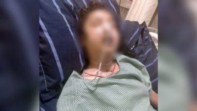 Himachal College Student Dies After Alleged Ragging And Sexual Harassment; FIR Registered Against 3 Students And Professor