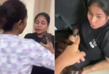 Mumbai Woman Allegedly Assaulted by Urban Company Masseuse Following Cancellation Dispute: Viral Video Prompts Police Probe