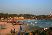 Planning Your Next Vacation? Why Thiruvananthapuram Should Be on Your Travel List