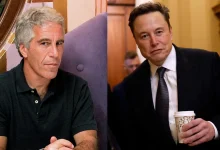 Elon Musk Denies Epstein Island Visit, 'Lolita Express' Flight After Email Surfaces In DOJ Document Release