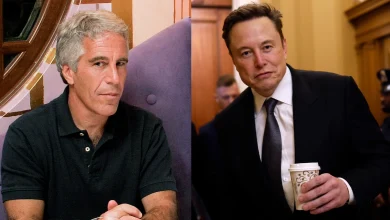 Elon Musk Denies Epstein Island Visit, 'Lolita Express' Flight After Email Surfaces In DOJ Document Release