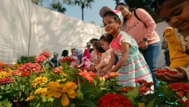 Mumbai Flower Festival Kicks Off Tomorrow At Byculla's Veermata Jijabai Bhosale Botanical Garden; Free Entry For All
