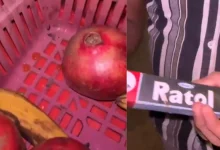 Mumbai Fruit Vendors Arrested After Viral Video Shows Rat Poison Being Applied to Fruits In Malad | VIDEO