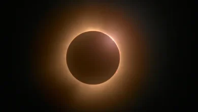 Annular Solar Eclipse: Will It Be Visible In India? Check Time, Safety Tips