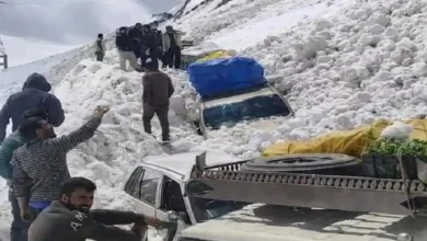 7 Dead, Several Injured as Ladakh Avalanches Bury Vehicles on Srinagar-Leh Highway