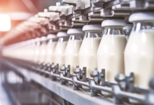 Andhra Milk Adulteration: Death Toll Reaches 16, Toxic Contamination Confirmed