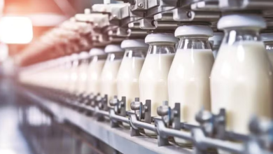 Andhra Milk Adulteration: Death Toll Reaches 16, Toxic Contamination Confirmed