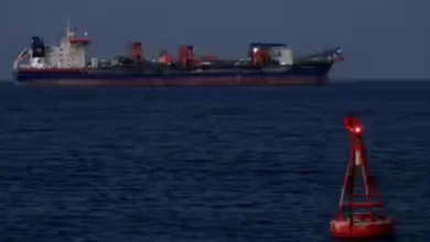 Iran Opens Strait of Hormuz to Select Friendly Nations, Easing Passage for Indian Vessels