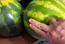 5 Tricks to Pick the Perfect Watermelon