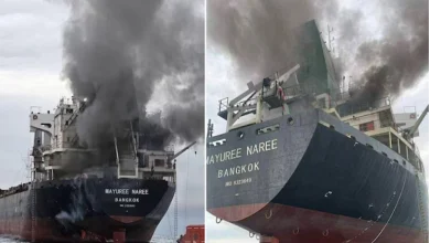 India Condemns Iranian Strike On Gujarat-Bound Thai Ship In Strait Of Hormuz, 3 Crew Members Missing