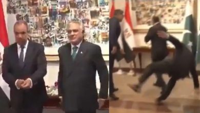 Ishaq Dar Slips During Welcome Ceremony for Egypt's Foreign Minister in Islamabad