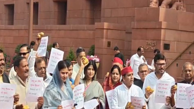 Samajwadi Party MPs Stage Potato Protest Outside Parliament Over Farmers’ Prices
