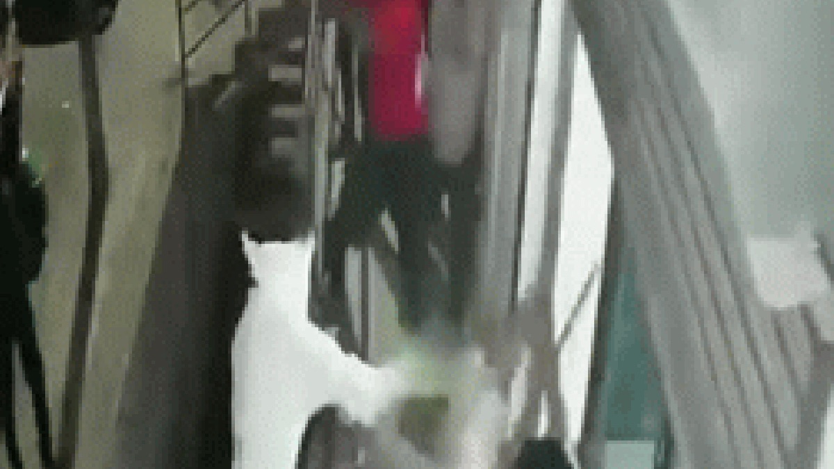 8 Men Storm Ahmedabad Office, Beat Youth With Sticks — Complainant Turns Out to Be a Wanted Accused