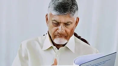 Panic Buying Triggers Fuel Shortage in Andhra Pradesh; CM Naidu Calls for Urgent Review