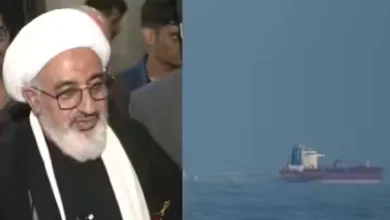 Iran Reaffirms Strong Ties with India Amid Diplomatic Row Over Strait of Hormuz Firing