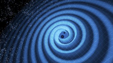 Gravitational Waves May Have Created Dark Matter in the Early Universe, New Study Finds