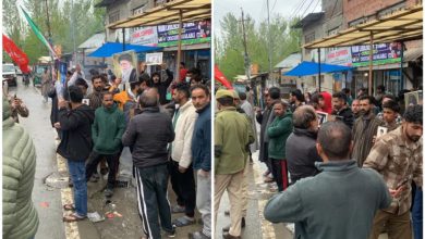 Ceasefire Relief: Kashmir Valley Erupts in Celebrations as Iran-US-Israel Truce Announced