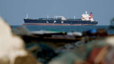 India’s Neighbours Seek Fuel from New Delhi Amid Iran War Crisis