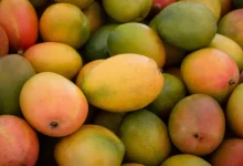 Tips To Store Mangoes Properly This Summer Season