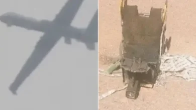 US F-15E Shot Down Over Iran, Pilot May Be in IRGC Custody as Locals Offered Reward to Capture Americans