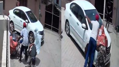 4-Year-Old Girl Abducted in Broad Daylight in Mohali's Kurali Town, Grandparents Struggle to Stop Kidnappers; CCTV Footage Surfaces