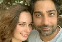 Evelyn Sharma Announces Separation from Husband