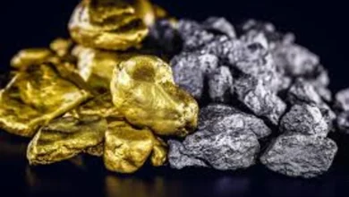 Gold and Silver Prices Ease on MCX in Early Trade