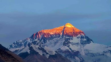 Everest Witnesses Historic Rush as 274 Climbers Reach the Summit in a Single Day
