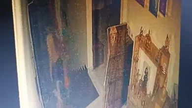 CCTV Footage Reveals New Twist in Bhopal Dowry Death