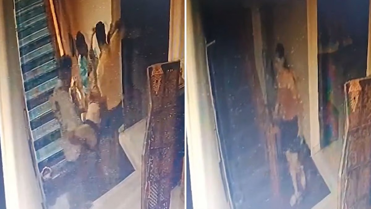 CCTV Shows Twisha Sharma Walking to Rooftop; Husband Seen Carrying Body Down an Hour Later, Remains Absconding