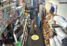 Indian-origin Woman From Gujarat Shot Dead by Masked Man at US Supermarket; CCTV Captures Attack