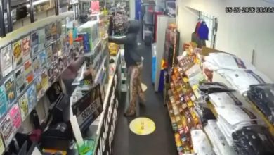 Indian-origin Woman From Gujarat Shot Dead by Masked Man at US Supermarket; CCTV Captures Attack