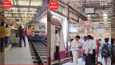 Kasara Local Ends Up on Wrong Platform at Mumbai CSMT, Central Railway Cites Technical Glitch
