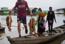 Study Finds Dissolved Oxygen Levels 80% Dropping in More Than Half the World's Rivers Since 1985