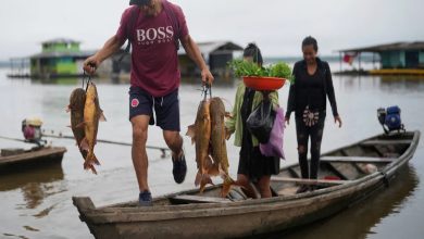 Study Finds Dissolved Oxygen Levels 80% Dropping in More Than Half the World's Rivers Since 1985